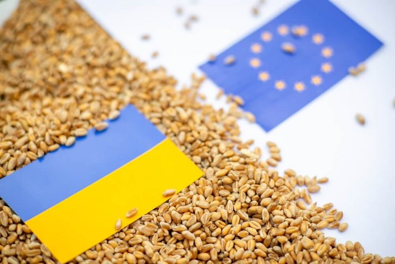 Ukrainian Agricultural Imports into the EU (cepAdhoc)